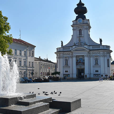 Wadowice Rynek Kosciol